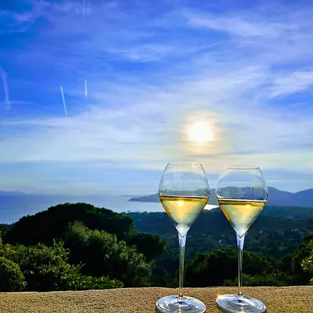 Mas De Gigaro דירה *